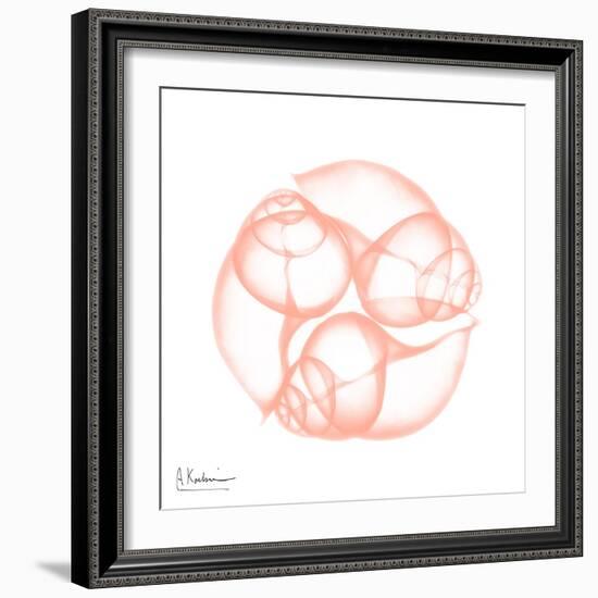 Peach Snail Shell-Albert Koetsier-Framed Art Print