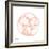 Peach Snail Shell-Albert Koetsier-Framed Art Print