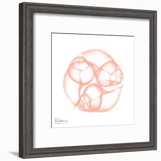 Peach Snail Shell-Albert Koetsier-Framed Art Print