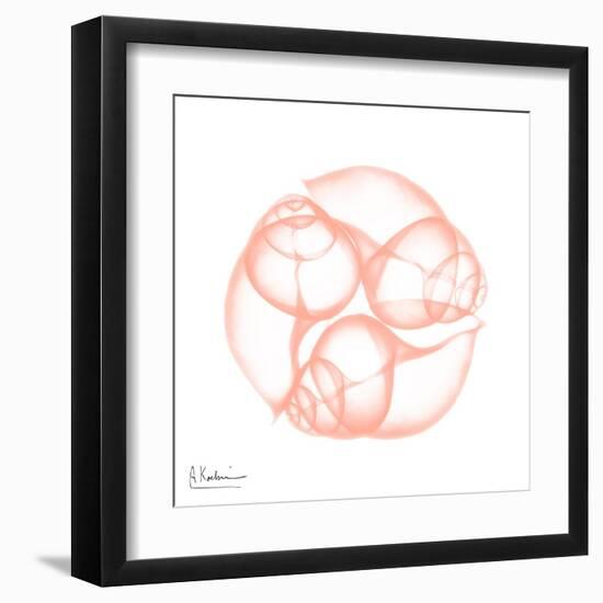 Peach Snail Shell-Albert Koetsier-Framed Art Print