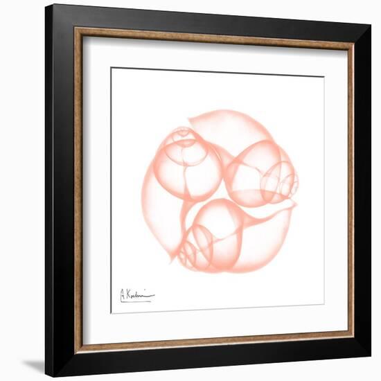 Peach Snail Shell-Albert Koetsier-Framed Art Print