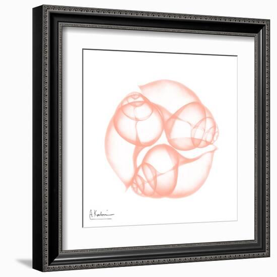 Peach Snail Shell-Albert Koetsier-Framed Art Print