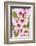 Peach-Tree, Branch, Detail, Blooms, Pink-Herbert Kehrer-Framed Photographic Print