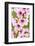 Peach-Tree, Branch, Detail, Blooms, Pink-Herbert Kehrer-Framed Photographic Print