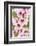 Peach-Tree, Branch, Detail, Blooms, Pink-Herbert Kehrer-Framed Photographic Print