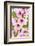 Peach-Tree, Branch, Detail, Blooms, Pink-Herbert Kehrer-Framed Photographic Print