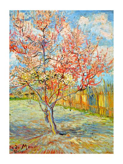 Peach Tree In Bloom At Arles C 18 Giclee Print Vincent Van Gogh Art Com Peach Tree In Bloom At Arles C 18 Giclee Print Vincent Van Gogh Art Com