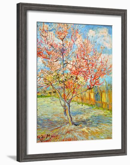 Peach Tree in Bloom at Arles, c.1888-Vincent van Gogh-Framed Giclee Print