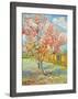 Peach Tree in Bloom at Arles, c.1888-Vincent van Gogh-Framed Giclee Print