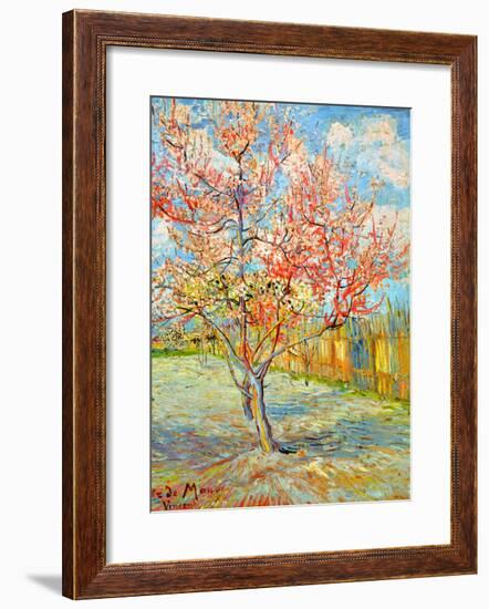 Peach Tree in Bloom at Arles, c.1888-Vincent van Gogh-Framed Giclee Print