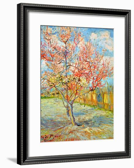 Peach Tree in Bloom at Arles, c.1888-Vincent van Gogh-Framed Giclee Print