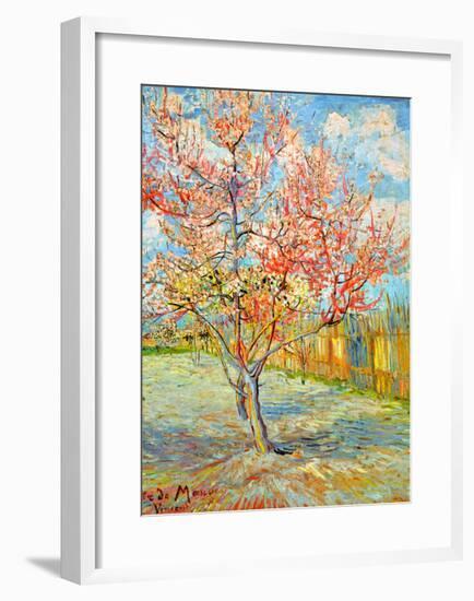 Peach Tree in Bloom at Arles, c.1888-Vincent van Gogh-Framed Giclee Print