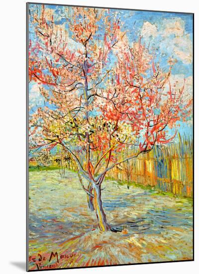 Peach Tree in Bloom at Arles, c.1888-Vincent van Gogh-Mounted Giclee Print