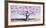 Peach Tree-Jan Eelder-Framed Art Print