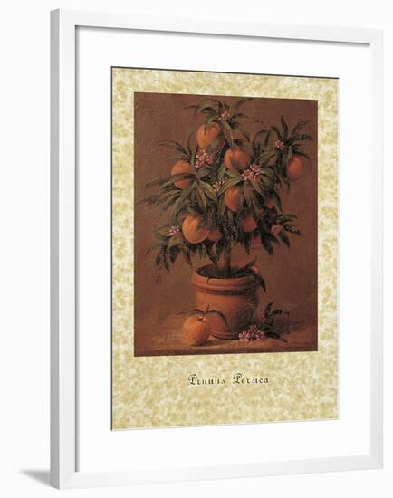 Peach Tree-Joaquin Moragues-Framed Art Print