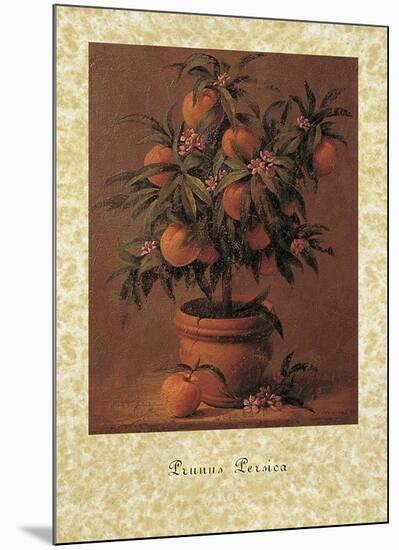 Peach Tree-Joaquin Moragues-Mounted Art Print