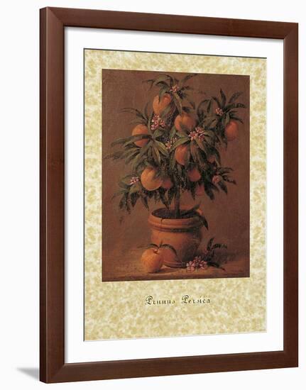 Peach Tree-Joaquin Moragues-Framed Art Print