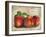 Peach-Kate Ward Thacker-Framed Giclee Print