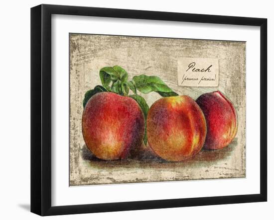 Peach-Kate Ward Thacker-Framed Giclee Print