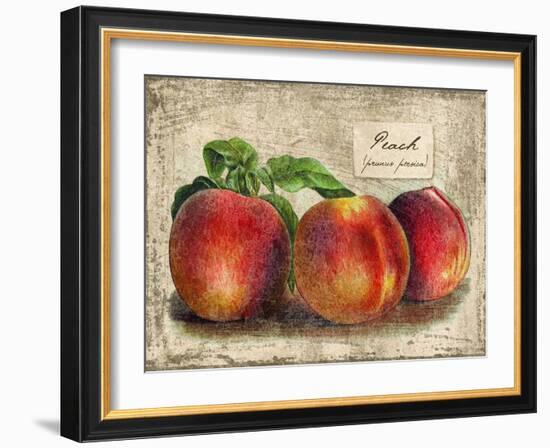 Peach-Kate Ward Thacker-Framed Giclee Print