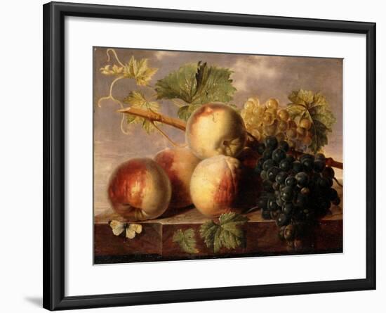 Peaches and Grapes with a Cabbage White on a Marble Ledge-Jan Frans Dael-Framed Giclee Print