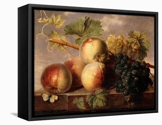 Peaches and Grapes with a Cabbage White on a Marble Ledge-Jan Frans Dael-Framed Premier Image Canvas
