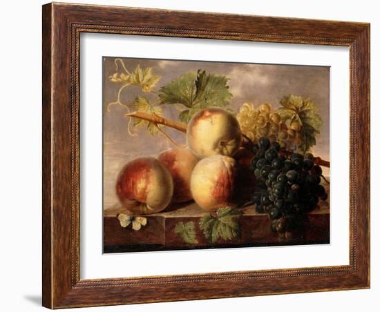 Peaches and Grapes with a Cabbage White on a Marble Ledge-Jan Frans Dael-Framed Giclee Print