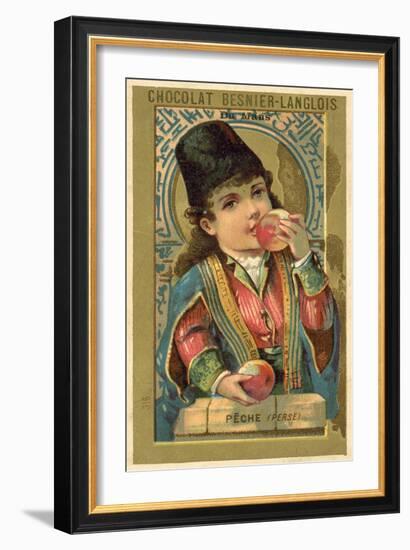 Peaches from Persia-null-Framed Giclee Print
