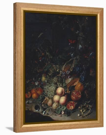 Peaches, Grapes, Pomegranates, Melons, a Corncob, Apricots, Plums, Pears, Acorns-Rachel Ruysch-Framed Premier Image Canvas