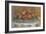 Peaches on a Plate, 1902-5-Pierre-Auguste Renoir-Framed Giclee Print