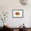 Peaches-Tim Knepp-Framed Giclee Print displayed on a wall