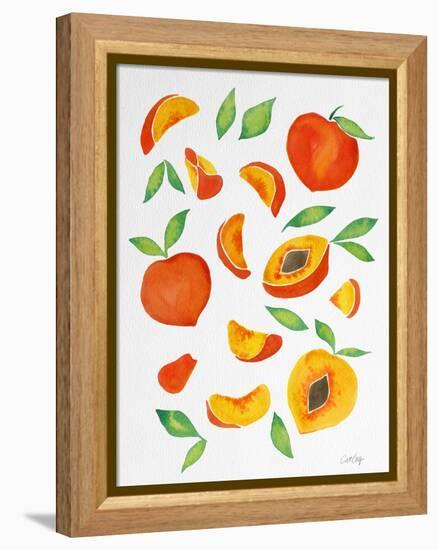 Peaches-Cat Coquillette-Framed Premier Image Canvas