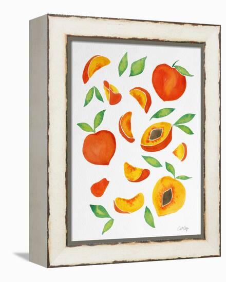 Peaches-Cat Coquillette-Framed Premier Image Canvas