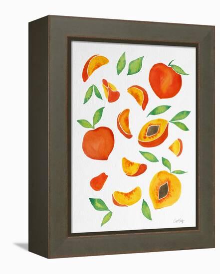 Peaches-Cat Coquillette-Framed Premier Image Canvas