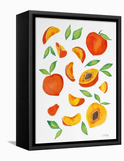Peaches-Cat Coquillette-Framed Premier Image Canvas