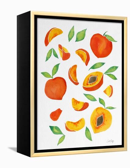 Peaches-Cat Coquillette-Framed Premier Image Canvas