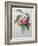 Peaches-Pierre-Joseph Redoute-Framed Art Print