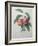 Peaches-Pierre-Joseph Redoute-Framed Art Print