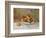 Peaches-Pierre-Auguste Renoir-Framed Giclee Print