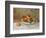 Peaches-Pierre-Auguste Renoir-Framed Giclee Print