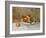 Peaches-Pierre-Auguste Renoir-Framed Giclee Print