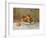 Peaches-Pierre-Auguste Renoir-Framed Giclee Print