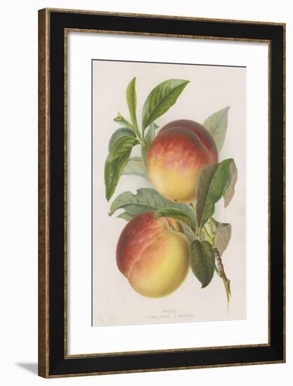 Peaches-null-Framed Giclee Print