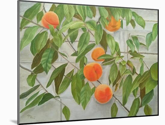 Peaches-Angeles M Pomata-Mounted Giclee Print
