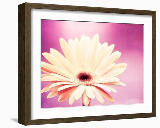 Peachy Keen (magenta)-Carolyn Cochrane-Framed Photographic Print