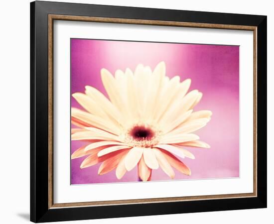 Peachy Keen (magenta)-Carolyn Cochrane-Framed Photographic Print