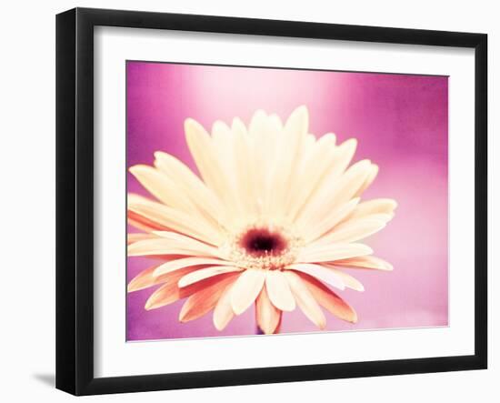 Peachy Keen (magenta)-Carolyn Cochrane-Framed Photographic Print