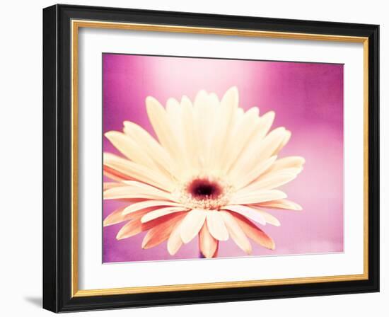 Peachy Keen (magenta)-Carolyn Cochrane-Framed Photographic Print