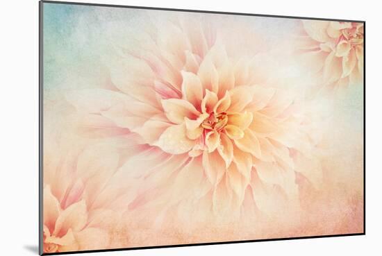 Peachy-Jacky Parker-Mounted Giclee Print