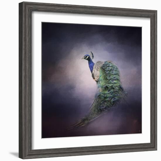 Peacock 11-Jai Johnson-Framed Giclee Print